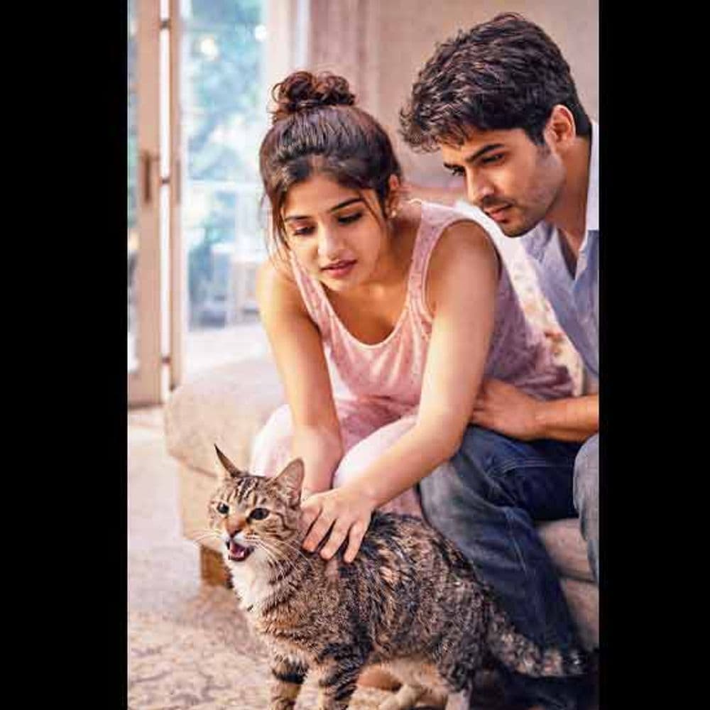 ખોબામાં દરિયો:અભેદ્ય