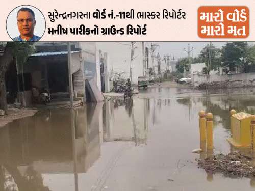 '15 વર્ષથી અહિં રોડ બન્યા નથી, ગટરની કોઈ સુવિધા નથી':15 દિવસે પાણી આવે છે એ પણ ગંદુ આવે છે, અમારે કેવી રીતે પીવું?; મતદારોએ આક્રોશ વ્યક્ત કર્યો
