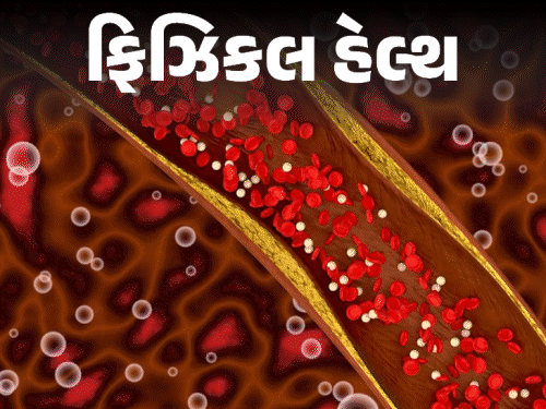 8 વર્ષ પછી કોલેસ્ટેરોલની નવી ગાઇડલાઇન જાહેર કરાઈ:LDL 100થી નીચે રાખો, 20 વર્ષની ઉંમરથી ટેસ્ટ કરાવો; જાણો તમારા 'દિલ'ને ધબકતું રાખવાની પરેજીઓ