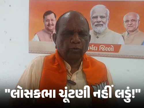 સ્થાનિક સ્વરાજની ચૂંટણી પર સાંસદ મનસુખ વસાવાનો ધડાકો:લોકસભા ચૂંટણી-2029 ન લડવાની કરી જાહેરાત, ટિકિટ વહેંચણી અંગે ભાજપના નિયમો પર ઉઠાવ્યાં હતા સવાલ