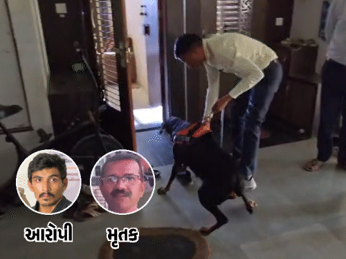 પૈસા-લેડીઝ અંડરગાર્મેન્ટની ચોરી કરતા જોઈ જતા ભત્રીજાએ ફૂઆની હત્યા કરી:અમદાવાદના વેપારીની હત્યા કેસમાં ચોંકાવનારો ખુલાસો, આરોપીને મહિલાના કપડા પહેરવાનો શોખ