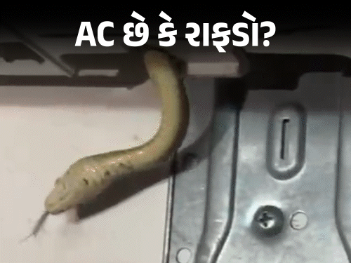 પારડીમાં ઘરના ACમાંથી 3 સાપ નીકળ્યા:ગરમીથી બચવા ACમાં આશરો; ACની પાઇપ અને દીવાલ વચ્ચેની જગ્યા સીલ ન હોય તો જોખમ
