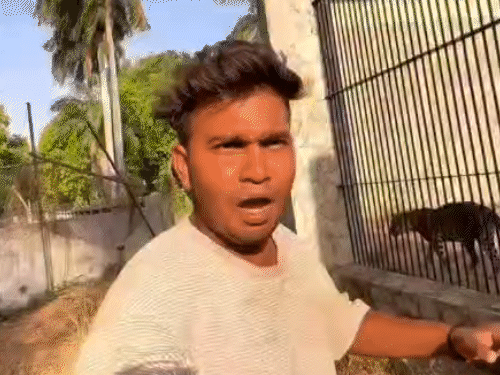 યુવકે રીલ બનાવવા દીપડાને દોડાવ્યો, VIDEO:બોલ્યો- મેં એવું કામ કર્યું જે આખી દુનિયામાં કોઈ ન કરી શકે, વડોદરા પ્રાણી સંગ્રહાલયમાં સુરક્ષાના ધજાગરા ઉડ્યા