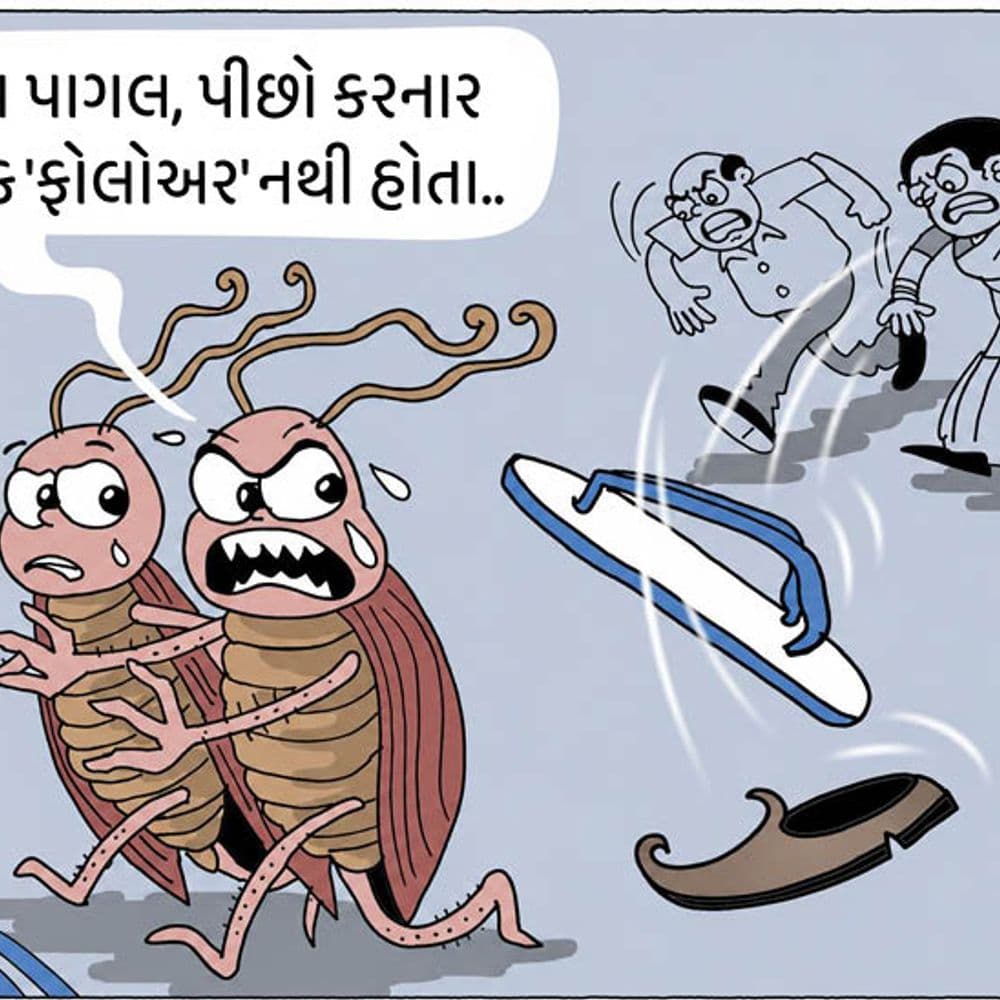 કોકરોચ જનતા પાર્ટીનું ઇન્સ્ટાગ્રામ એકાઉન્ટ હેક:પાર્ટીએ X પર લખ્યું- એક્સેસ કરી શકતા નથી, ફોલોઅર્સની સંખ્યા 2.17 કરોડ થઈ