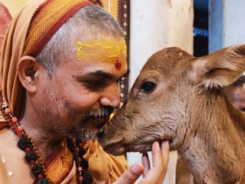 શંકરાચાર્યએ કહ્યું-દેશભરના દરેક વિધાનસભા ક્ષેત્રમાં એક-એક ‘ગૌ ધામ’ બનાવીશું:શંકરાચાર્ય 'ગો-LX' પર ગાય ખરીદશે, પરંતુ વેચશે નહીં; સેવા કરવા માટે જે પણ ગાય લઈ જશે, તેને લાઇસન્સ આપીશું