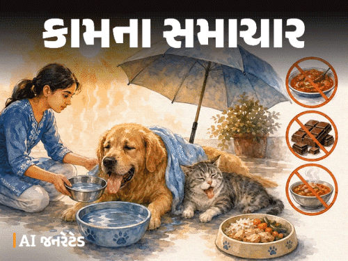 માણસોને જ નહીં, પાલતુ પ્રાણીઓને પણ લૂ લાગી શકે:ડૉક્ટર પાસેથી જાણો ઉનાળામાં શું ખવડાવવું, ક્યારે વૉક પર લઈ જવા અને કઈ ભૂલોથી બચવું