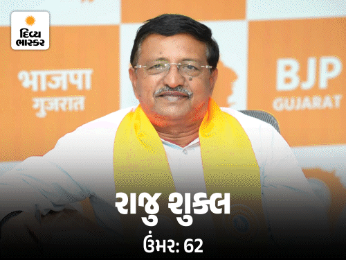 ભાજપે ફરી ચોંકાવ્યા, રાજ્યસભાના ચારેય ઉમેદવાર અજાણ્યા, ત્રણનું RSS કનેક્શન:પાટીદારોનું પત્તું કપાયું-OBC સેન્ટરમાં, યુવા બ્રિગેડ ઉતારી 50થી વધુ વયનાને મેસેજ, સોમનાથ સીટ માટે પ્લાન ઘડ્યો