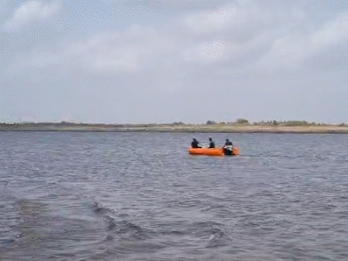 તાલાલાના હિરણ-2 ડેમમાં મગર બાળકને ખેંચી ગયો:કરચલા પકડવા ગયેલા 11 વર્ષના બાળક પર હુમલો, શોધખોળ ચાલુ